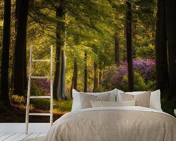 Flowering rhododendrons in the fairytale forest