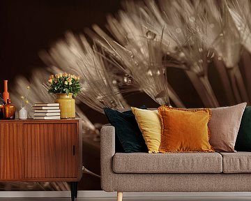 Warm brown tones: The fluff slowly closes in the light by Marjolijn van den Berg