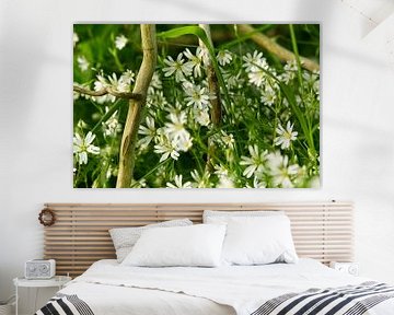 Witte bloemetjes in groene weelde van Theo Felten