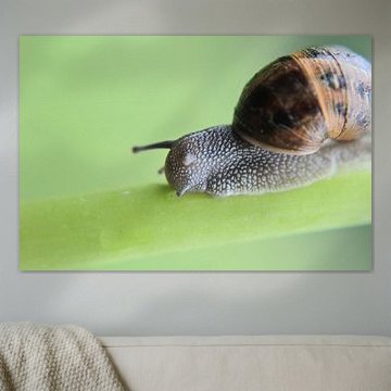 Détendez-vous, s'il vous plaît....