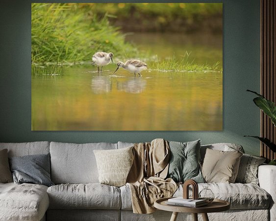 Aperçu de la chambre