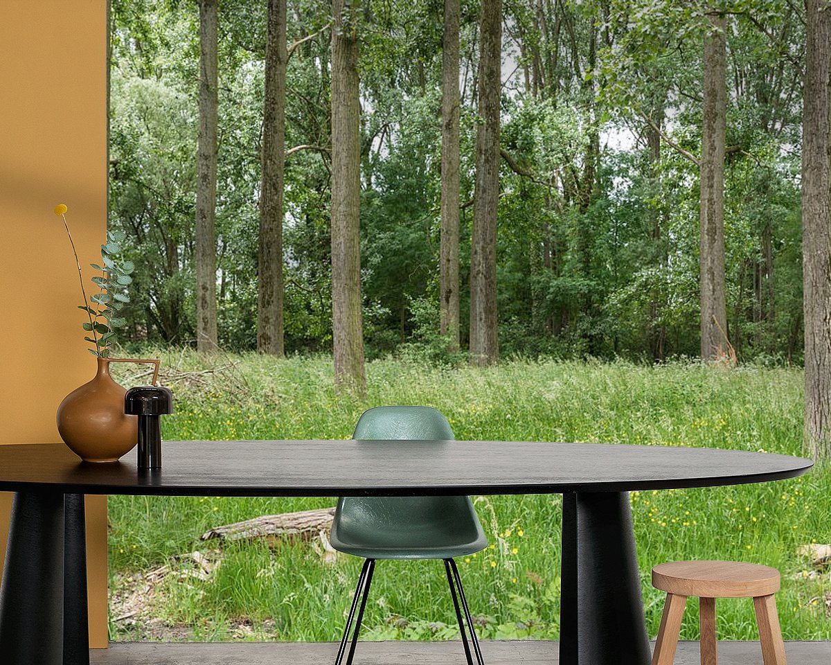 Raumvorschau