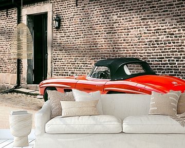 Mercedes-Benz 300 SL Roadster convertible classic sports car by Sjoerd van der Wal Photography