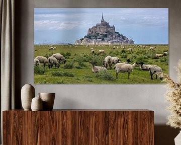 Schapen bij de Mont Saint-Michel van Easycopters