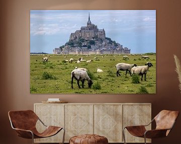 Sheep near the Mont Saint-Michel by Easycopters