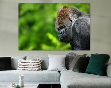 Portret  van een gorilla  - Alpha Male van Chihong