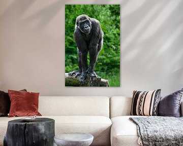 Portret  van een gorilla  op een boomstam van Chihong