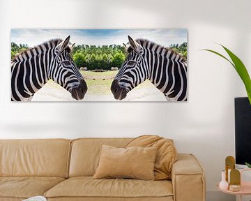 Zwei Zebras von Jan Schneckenhaus