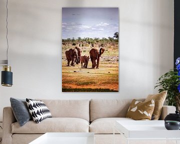 Eléphants rouges photographiés en safari dans le parc national de Tsavo Est sur Fotos by Jan Wehnert