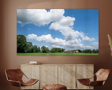 Das niederländische Gesicht von Luft und Natur: Twente (NL) von Rick Van der Poorten