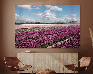 Tulpenfeld mit lila und rosa Tulpen mit einem schönen holländischen Himmel von W J Kok