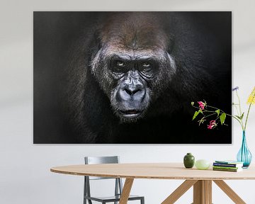 Portret  van een gorilla  - Alpha Male (3:2) van Chihong