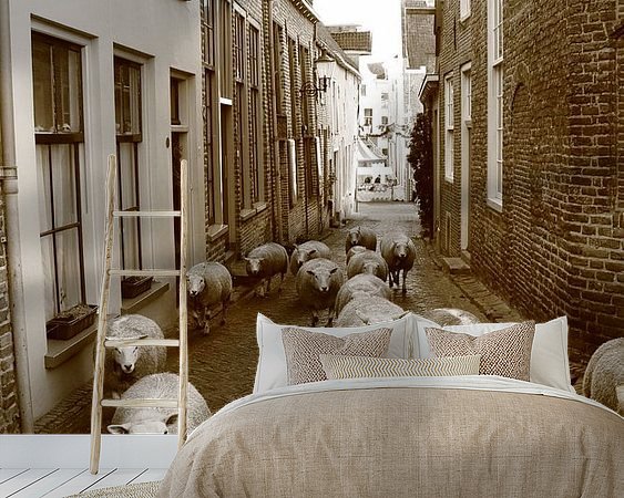 Aperçu de la chambre