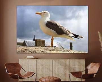 Resting seagull by Otto Kooijman