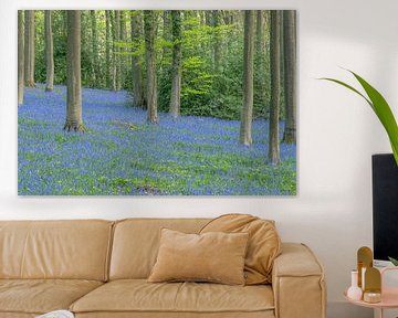 Bluebells in Brakelbos by Sven Scraeyen