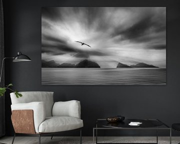 Fjord in Alaska in black and white by Chris Stenger