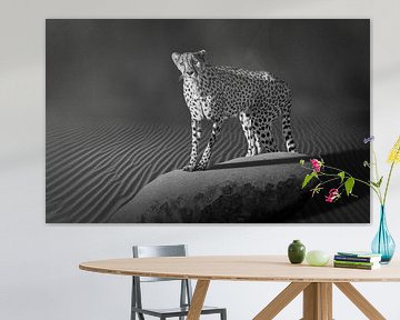 Portrait of a Cheetah by Chris Stenger