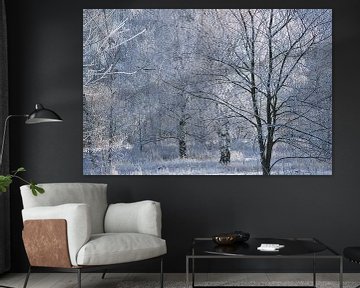 Winterlandschap met berkenbomen bedekt met sneeuw en vorst van Martin Köbsch