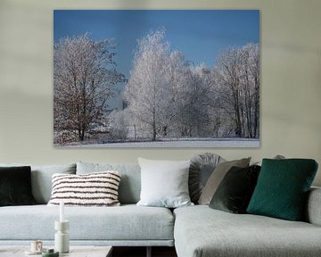 Winter landscape with birch trees covered with snow and frost by Martin Köbsch