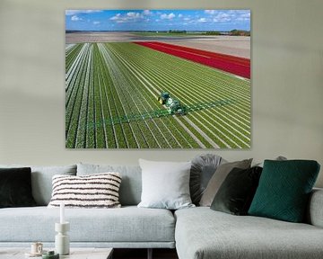 Tulipes avec un pulvérisateur de cultures agricoles dans un champ sur Sjoerd van der Wal Photographie