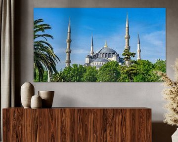 Blaue Moschee in Istanbul, Türkei
