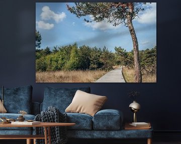 Vlonderpad Umfassungsweg Landgoed Twickel -  Twente - Heide van Wandeldingen