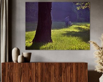 Ochtendlicht in het Auenpark