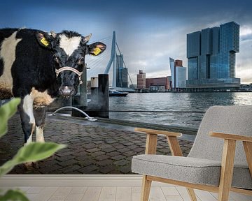 Koe in Rotterdam / Willemskade van Rob de Voogd / zzapback