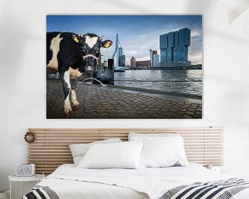 Kuh in Rotterdam Willemskade von Rob de Voogd / zzapback