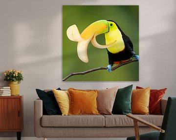 Funny Toucan surreal wall art