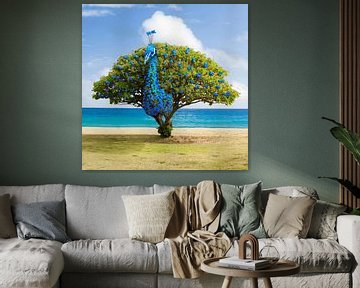 Peacock Tree sur Martijn Schrijver