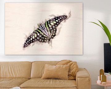 Papillon Graphium agamemnon (montage aquarelle)