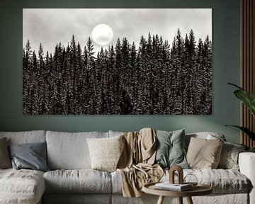 Wald mit Mond von FRESH Fine Art