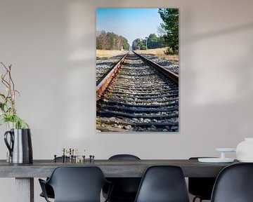 Railroad line Antwerp Weert by Kristof Leffelaer