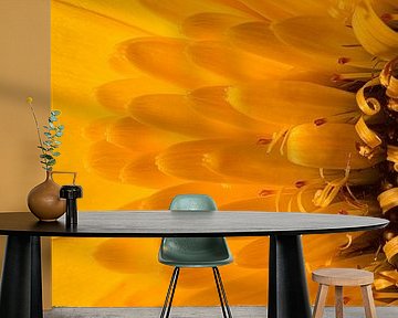 Sunny yellow panorama by Marjolijn van den Berg