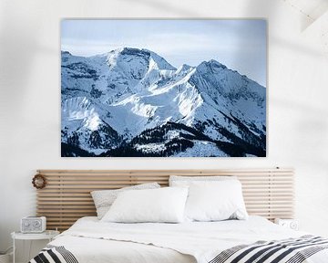 Berglandschap in de winter