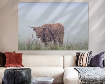 Scottish Highlander in rain and fog by natascha verbij