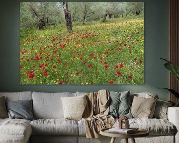 Olives and poppies van jowan iven