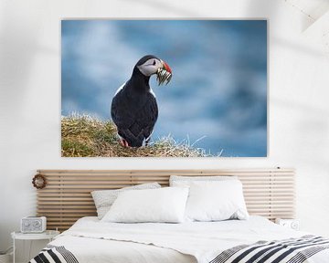 Puffin in Iceland with fish by Leon Brouwer