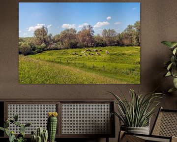Schilderachtig Nederlands landschap met koeien van Ruud Morijn