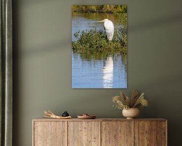 Grande aigrette au bord d'un lac sur Sjoerd van der Wal Photographie