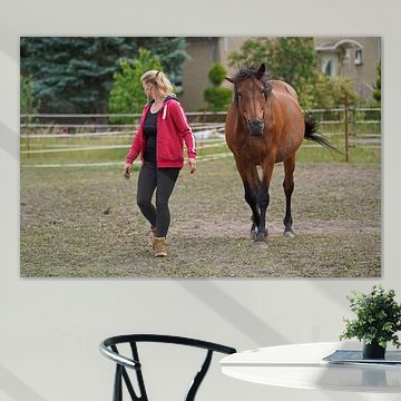 Trakehner Feldmeyer mit Besitzerin  auf der Weide