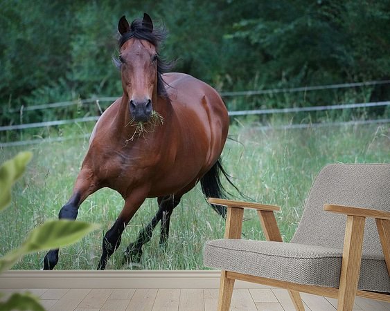 Raumvorschau