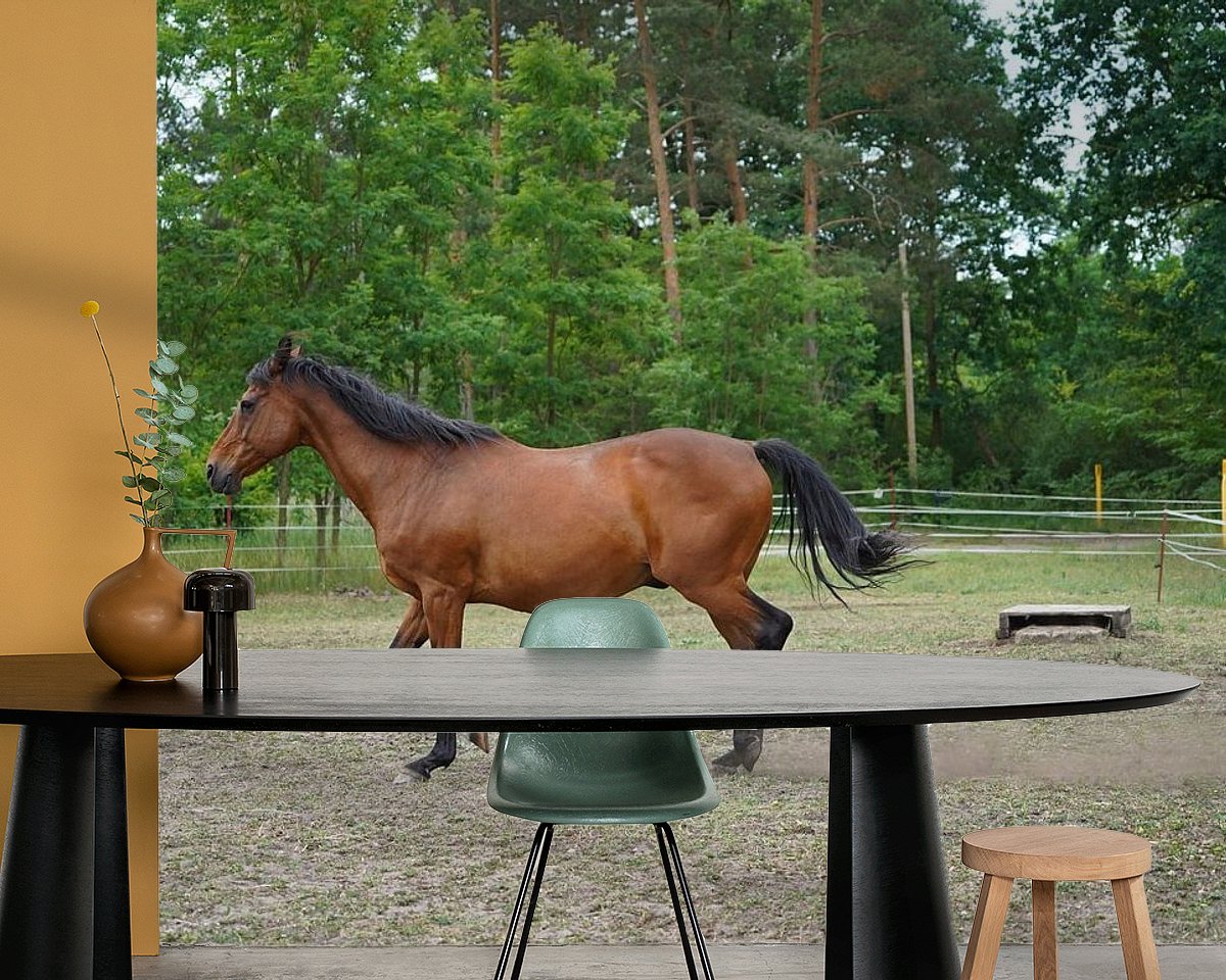 Raumvorschau