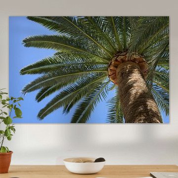 Im Schatten einer hohen Palme, Sommer am Strand