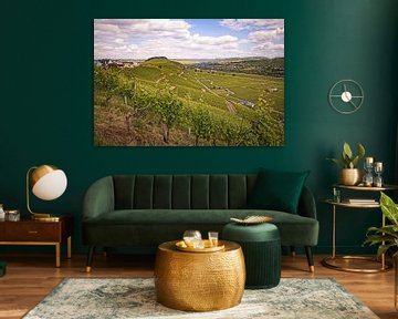 Moeseldal panorama bij Osann-Monzel van Rob Boon