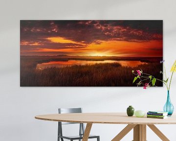 Goldene Stunde Schiermonnikoog von Martin Rijpstra