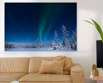 Northern lights in Finnish Lapland by Anouk van Heumen