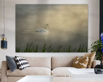 Swan on a lake during sunrise by John van de Gazelle