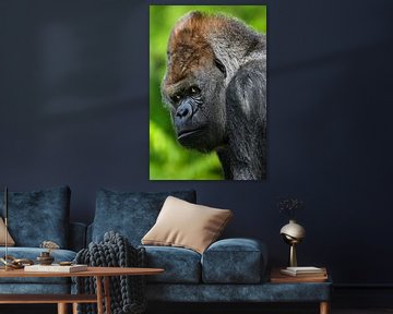 Portret  van een gorilla  - Alpha Male van Chihong